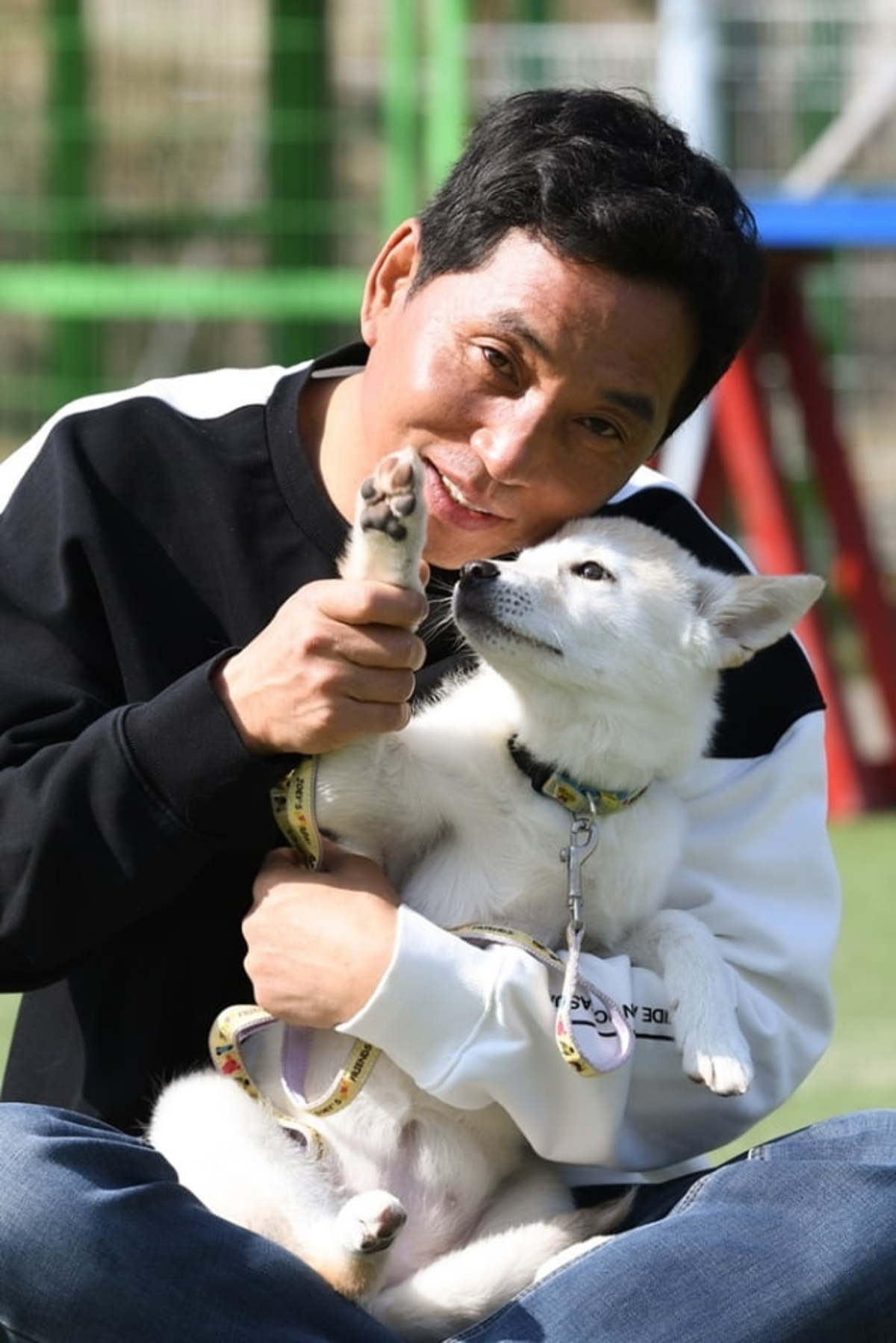 동물농장 보상 노린 강아지 알까기 변화 전한다 | 한국경제