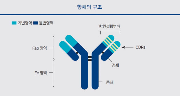 [배진건의 바이오 산책] 세포 표현형 기반 스크리닝으로 되돌아가야 하나?