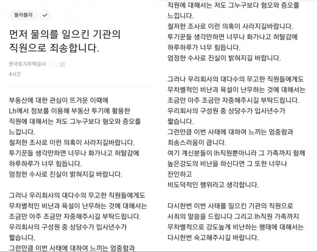 한국토지주택공사(LH) 직원이 직장인 커뮤니티 블라인드에 남긴 글. 사진=블라인드