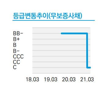 코로나 여파에…닭 가공 업체 씨에스코리아 신용등급 C로 떨어져