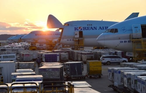 대한항공 화물기들이 인천공항 화물터미널에서 대기하고 있다. 사진=공항사진기자단