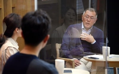 정의선 회장 "현대차 품질 개선에 자존심 따지지 않겠다"