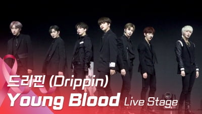 HK영상｜드리핀(DRIPPIN) 쇼케이스, 청춘의 의지를 담은 타이틀곡 'Young Blood'