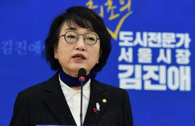 김진애 "민주당, 文 지지율만 믿고…능력 떨어진 듯" 비판