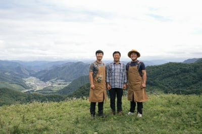 산골 목장에 북적이는 2030...지역 살린 '로컬 크리에이터의 힘'