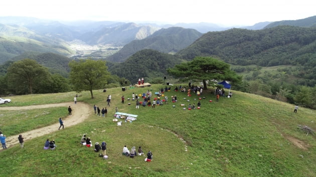 산골 목장에 북적이는 2030...지역 살린 ‘로컬 크리에이터의 힘’