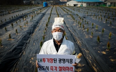 뒷북 '땅투기 처벌법'…'신도시 투기' LH 직원은 해당 안돼