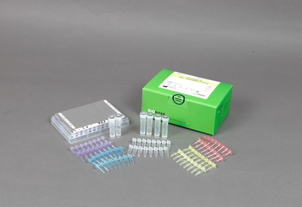 B형간염 바이러스 정량분석키트 'AccuPower HBV Quantitative PCR Kit'.