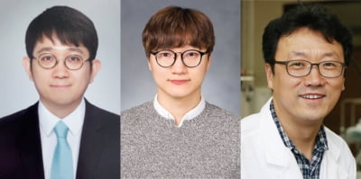 인하대 이문상 교수팀, 플라즈모닉 핫홀 거동 ‘세계 최초’ 규명