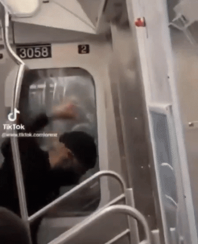 美지하철서 아시아인 기절할 때까지 무차별 폭행한 흑인 [영상]