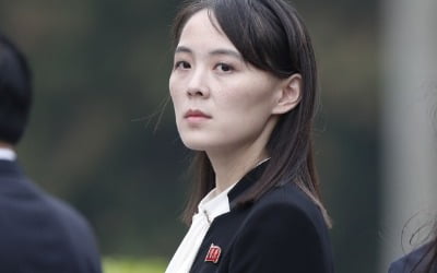 '김여정法 논란' 대북전단법 시행일에…김여정 "文은 미국산 앵무새"