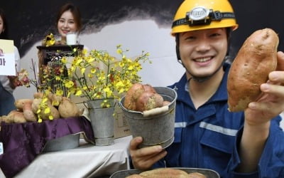 "오직 이곳서만 살 수 있다"…스타트업 '퍼밀' 입소문에 날개