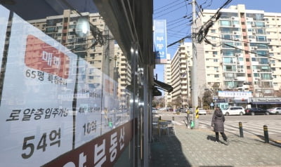 집값 떨어져도 재산·종부세는 오른다…'공시가격'의 비밀