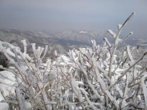 겨울 설산의 유혹 뒤엔 복병도...