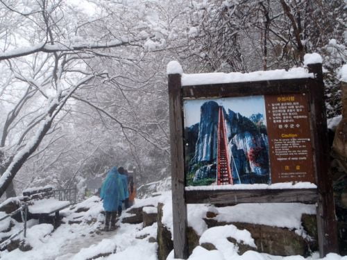 대둔산 올라 춘설에 넋을 놓다.