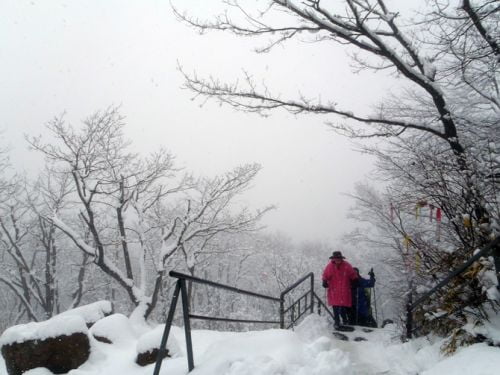 대둔산 올라 춘설에 넋을 놓다.