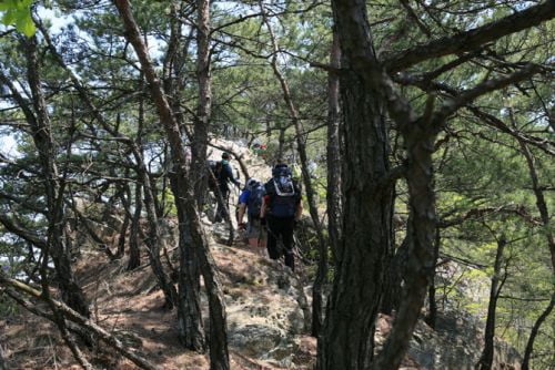 간절기에 찾은 금산 월영산