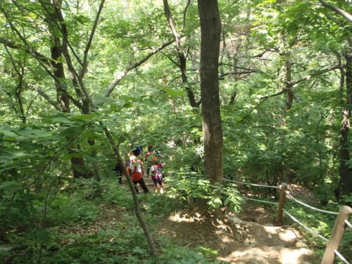 방귀 뀌었다고 '부용산'으로 귀양을...