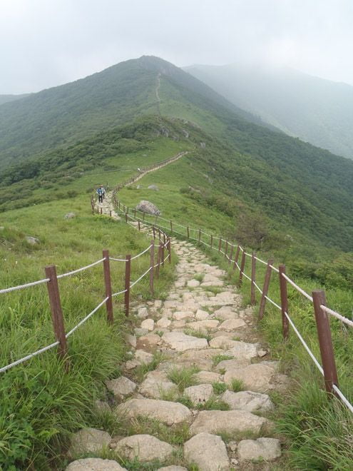 산상화원, 여름 소백능선을 걷다.