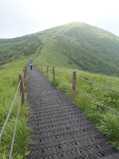 산상화원, 여름 소백능선을 걷다.