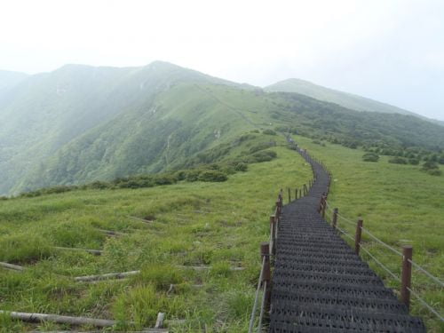 산상화원, 여름 소백능선을 걷다.