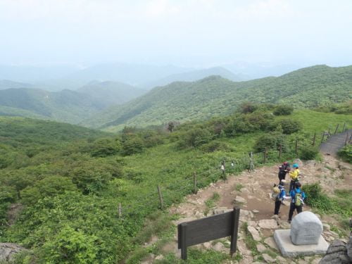 산상화원, 여름 소백능선을 걷다.