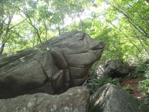 산상화원, 여름 소백능선을 걷다.