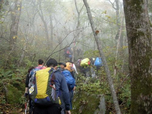 정선 가리왕산의 초가을 실루엣