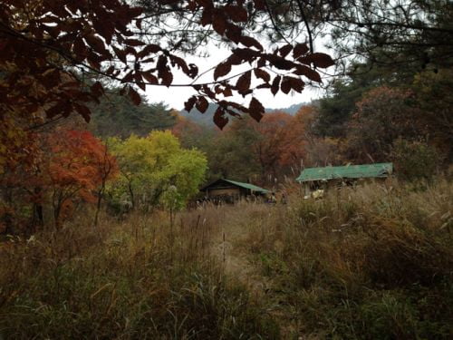 백두대간의 허리, '은티재' 늦가을 스케치