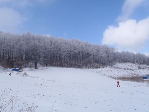 영험한 산, 겨울 태백산이 피곤하다.