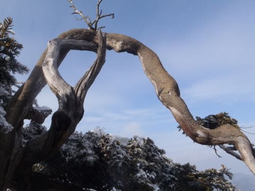 영험한 산, 겨울 태백산이 피곤하다.