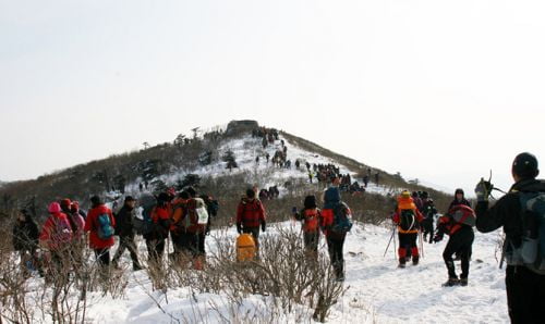 영험한 산, 겨울 태백산이 피곤하다.