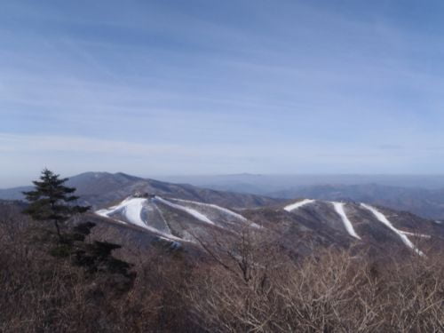 정선 백운산 마천봉 하늘길을 걷다