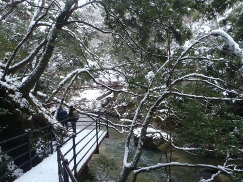 일본 힐링 트레킹...제3신, '귀신의 혀떨림((鬼の舌震)' 계곡을 걷다.