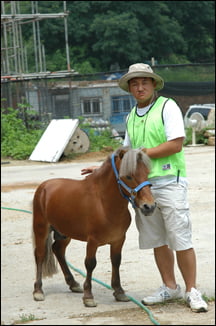 일터가 유원지처럼 재미있다면...