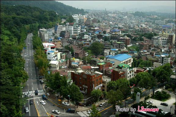 위대함보다 다정한 친밀감이 드는... 