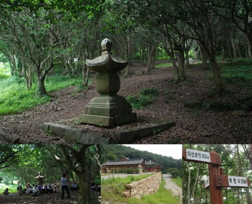 정약용의 유배지 강진과 보성녹차밭 