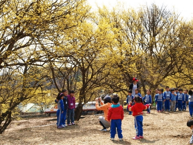 산수유