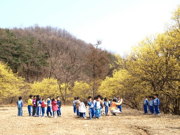 산수유