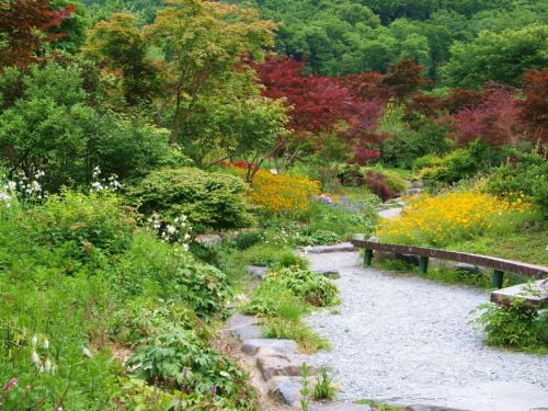 (그대와 함께 걷고 싶은)  꽃길