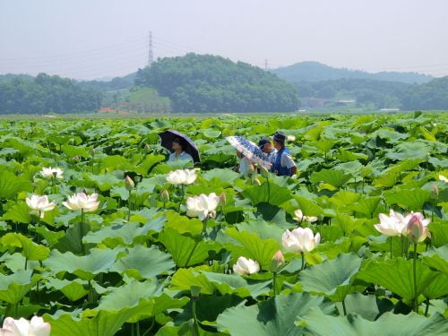 연인이라고 하기엔 조금