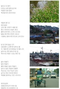 상계동에서  -  잡초를 위한 블르스