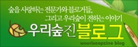 [꽃엽서] 덩굴닭의장풀, 덩굴별꽃, 도깨비가지, 도깨비부채, 도꼬마리, 도둑놈의갈고리&#65279;