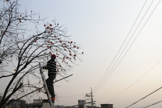 널린 가을 너머, 후암동