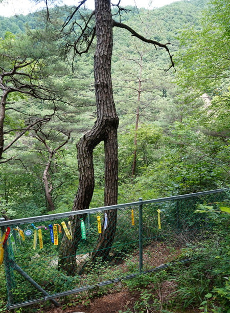 괴산 '사랑산'에 올라 지극 사랑을...