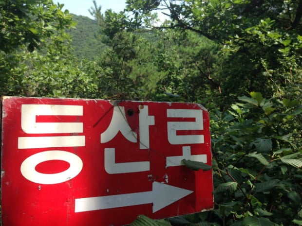 김포 문수산에 올라 강 건너 북녘을...