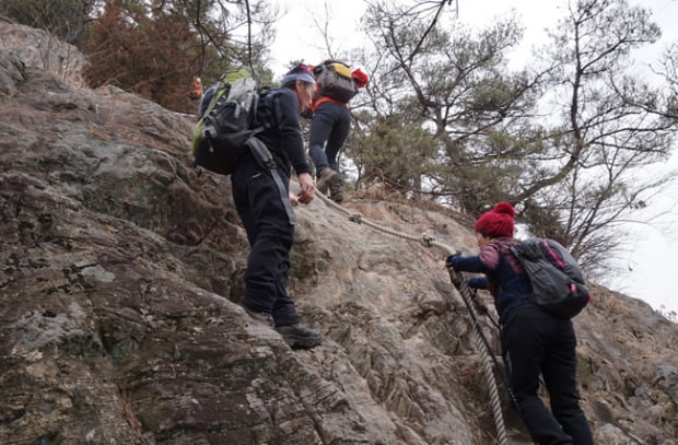 금산,  紫芝山 그리고 부엉산