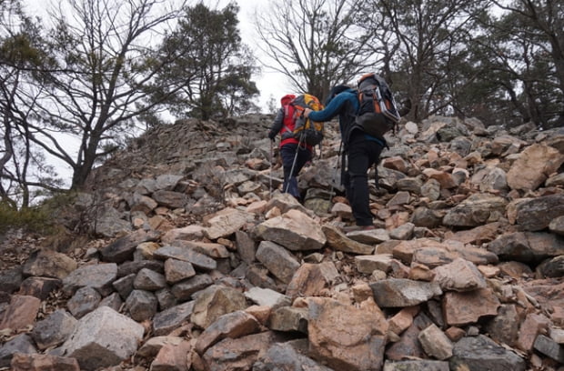 금산,  紫芝山 그리고 부엉산