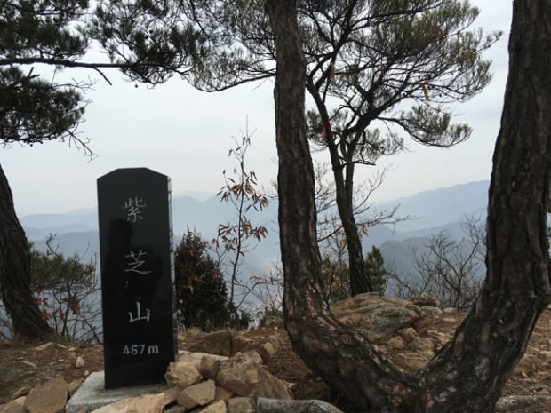 금산,  紫芝山 그리고 부엉산