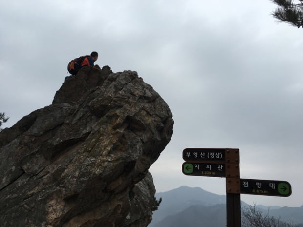 금산,  紫芝山 그리고 부엉산